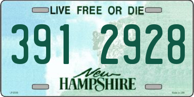 NH license plate 3912928