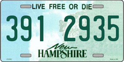 NH license plate 3912935