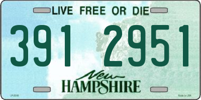 NH license plate 3912951