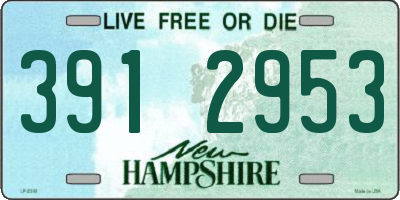 NH license plate 3912953