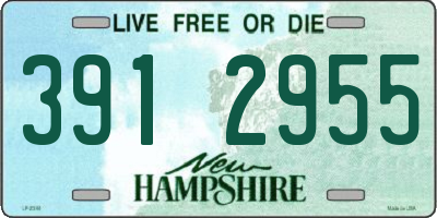 NH license plate 3912955