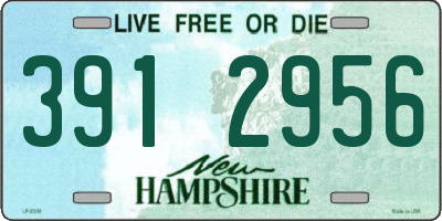 NH license plate 3912956