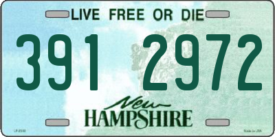 NH license plate 3912972