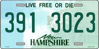 NH license plate 3913023