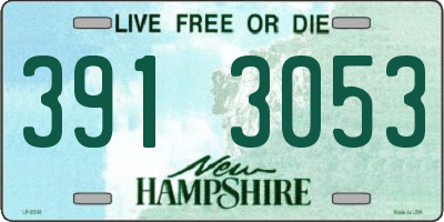 NH license plate 3913053