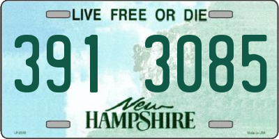 NH license plate 3913085