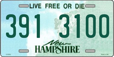NH license plate 3913100