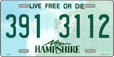NH license plate 3913112