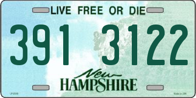 NH license plate 3913122