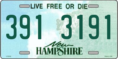 NH license plate 3913191