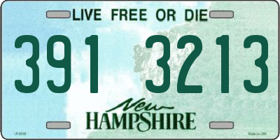 NH license plate 3913213