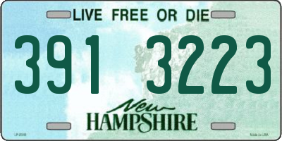 NH license plate 3913223