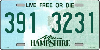 NH license plate 3913231