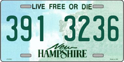 NH license plate 3913236