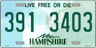 NH license plate 3913403