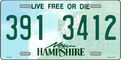 NH license plate 3913412