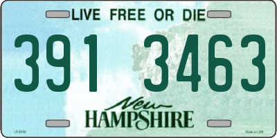 NH license plate 3913463