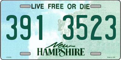 NH license plate 3913523