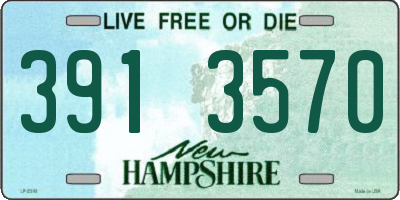 NH license plate 3913570