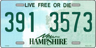 NH license plate 3913573