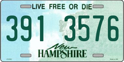 NH license plate 3913576