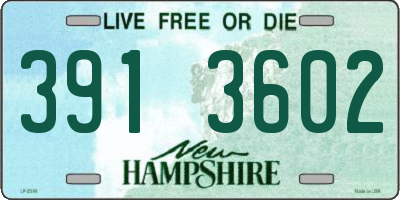 NH license plate 3913602