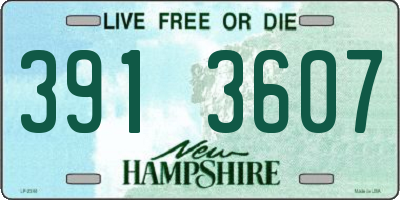 NH license plate 3913607