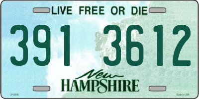 NH license plate 3913612