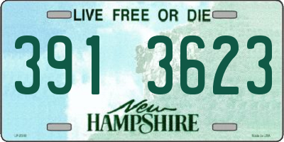 NH license plate 3913623