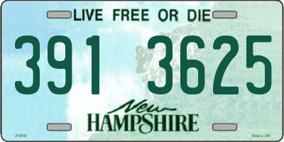 NH license plate 3913625