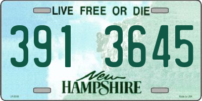 NH license plate 3913645