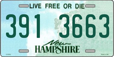 NH license plate 3913663