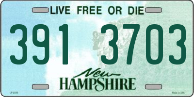 NH license plate 3913703