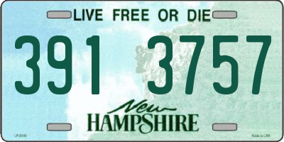 NH license plate 3913757