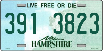 NH license plate 3913823