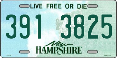 NH license plate 3913825
