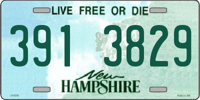 NH license plate 3913829