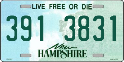 NH license plate 3913831