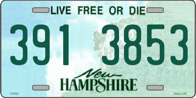 NH license plate 3913853