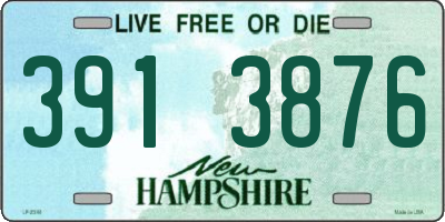 NH license plate 3913876