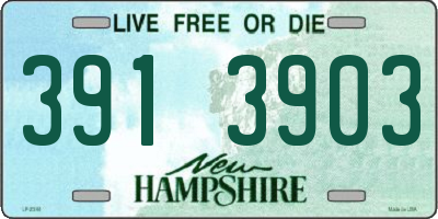 NH license plate 3913903