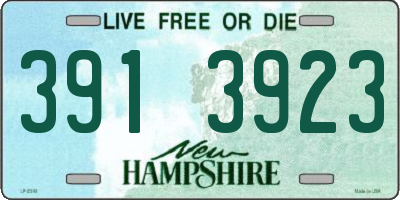 NH license plate 3913923