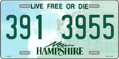 NH license plate 3913955