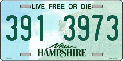 NH license plate 3913973
