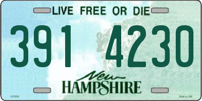 NH license plate 3914230