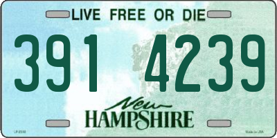 NH license plate 3914239