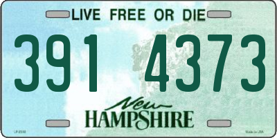 NH license plate 3914373