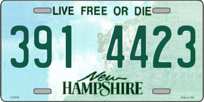 NH license plate 3914423