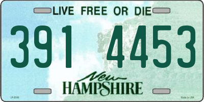 NH license plate 3914453