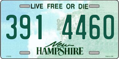 NH license plate 3914460